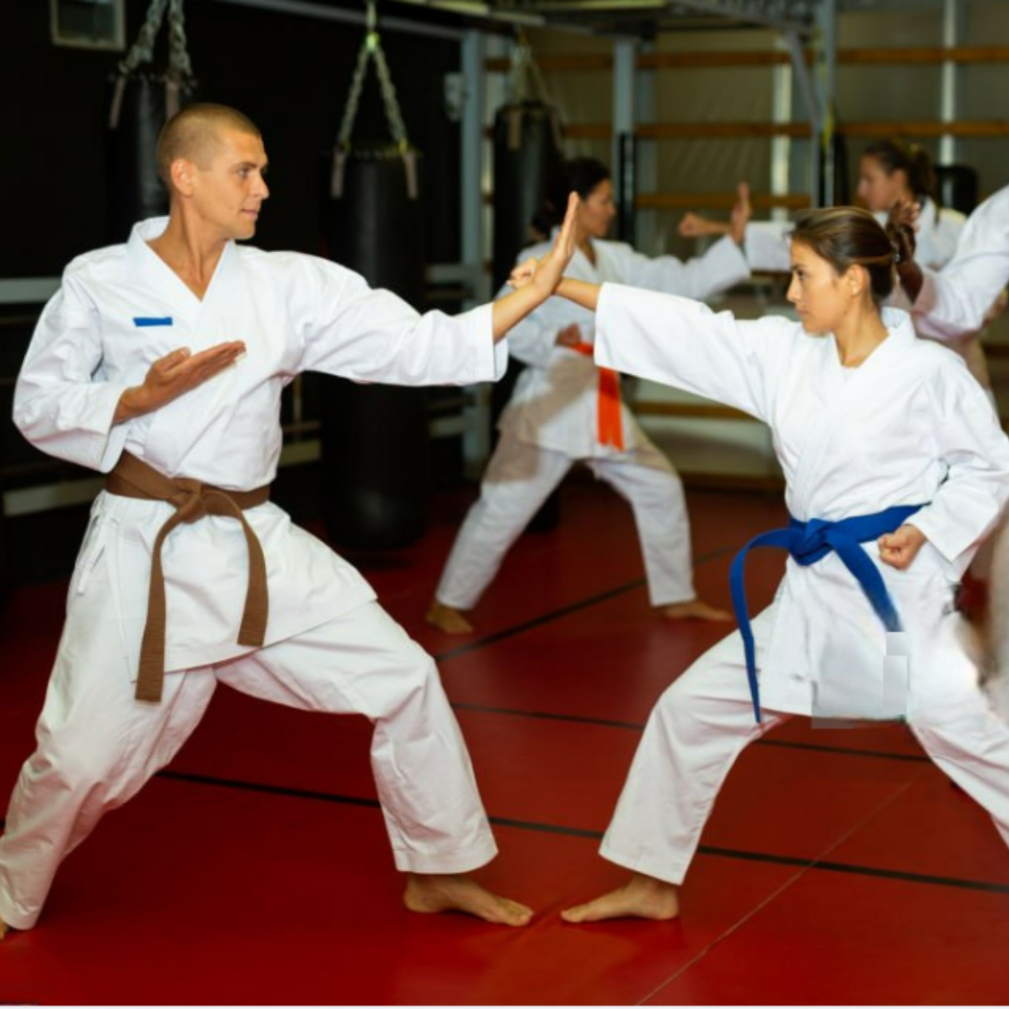 Unity of Hard and Soft — 剛柔一体 (Gōjū Ittai)